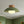 Designer 1-Light Nordic Dome Semi Flush Mount