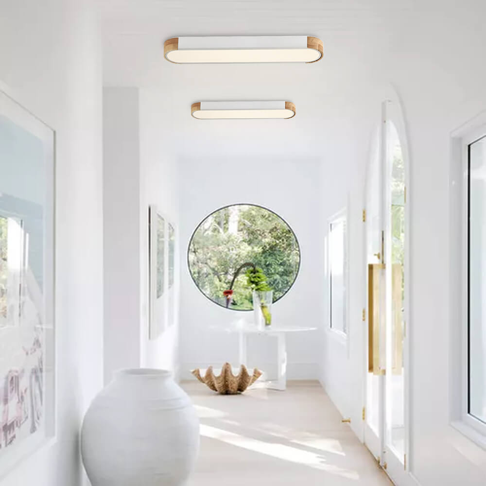 Modern Dimmable Integrated LED Ceiling Light Flush Mount Ceiling