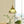 Thehouselights-1-Light Lotus Stripe Glass Pendant Light-Pendant-Green-