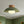 Thehouselights-Designer 1-Light Nordic Dome Semi Flush Mount-Ceiling Light-Light Green-