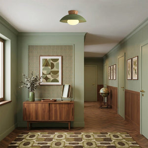 Thehouselights-Designer 1-Light Nordic Dome Semi Flush Mount-Ceiling Light-Light Green-