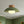 Thehouselights-Designer 1-Light Nordic Dome Semi Flush Mount-Ceiling Light-Light Green-