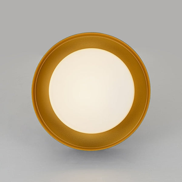 Thehouselights - Drum LED Flush Mount with Milky Glass Shade - Ceiling Light - 35 cm. - 
