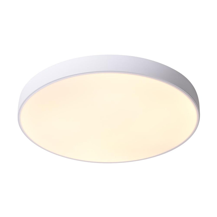 Kitchen Lightie-Modern Circle LED Flush Mount Ceiling Light-Flush Mount-11 in.-Warm White/ White