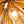 Load image into Gallery viewer, Kitchens &#39;n Lights-Modern Gold Sputnik Chandelier for Kitchen Island-Chandelier-8 Bulbs-
