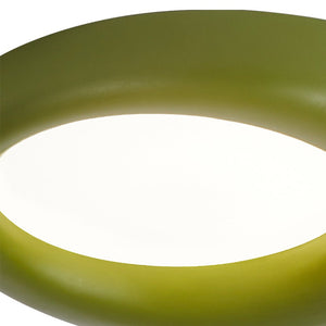 Thehouselights-LED Resin Nordic Ring Shape Wabi-Sabi Flush Mount Ceiling Light-Ceiling Light-Green-Large